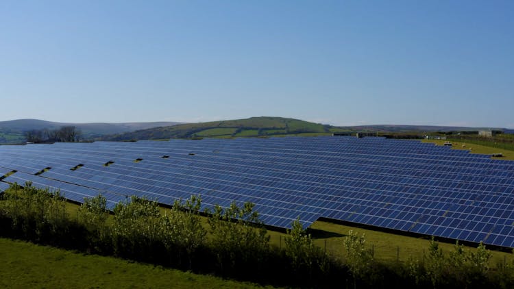 A field full of solar panels surrounded by hedgerows